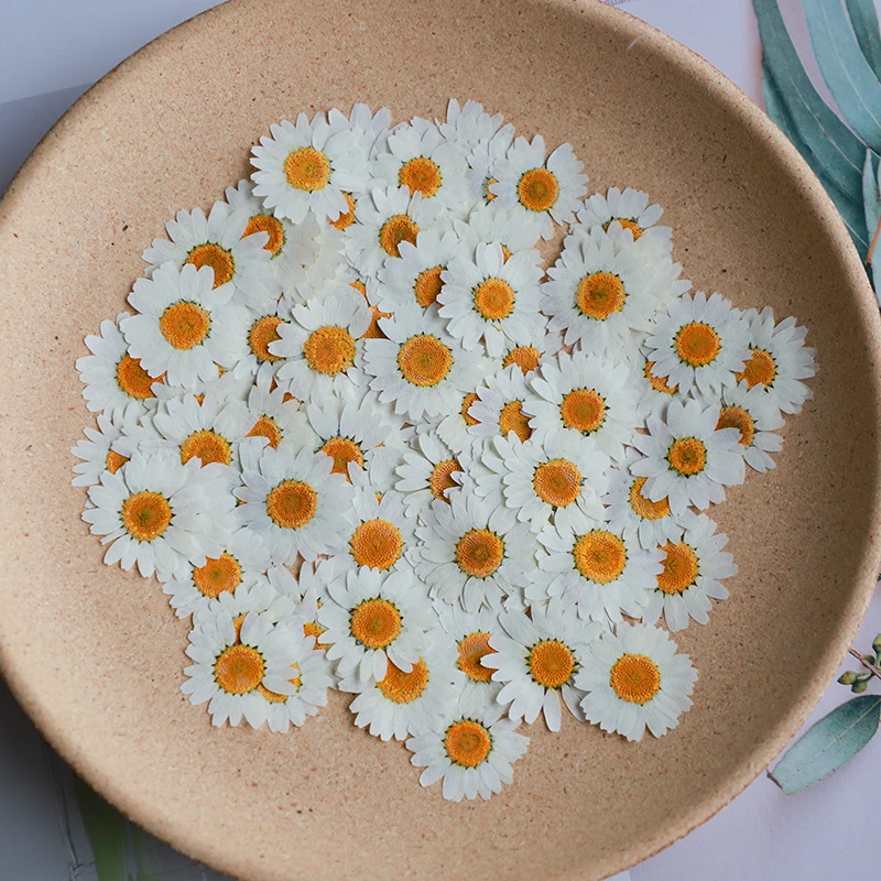 60X Preslenmiş Kurutulmuş Doğa - Dried Flower Bookmark incelemesi ve fiyatı