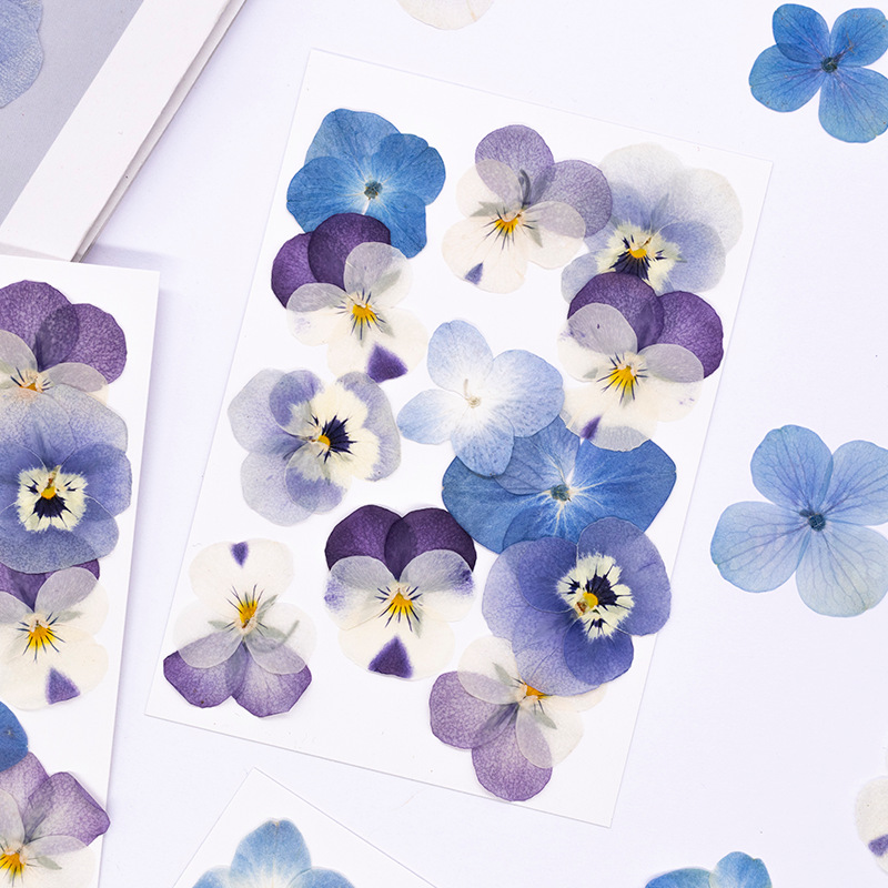 12 adet, Gerçek Viola Cornuta  - Dried Flower Bookmark incelemesi ve fiyatı