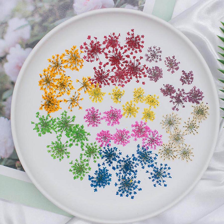 60 adet preslenmiş kurutulmuş  - Dried Flower Bookmark incelemesi ve fiyatı