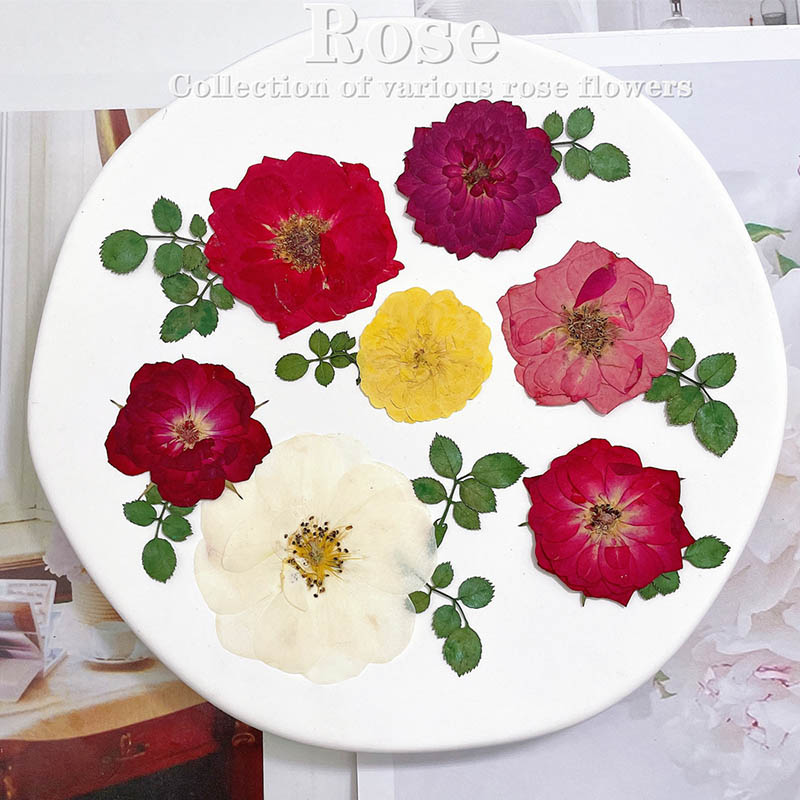 60 adet Preslenmiş Kurutulmuş  - Dried Flower Bookmark incelemesi ve fiyatı