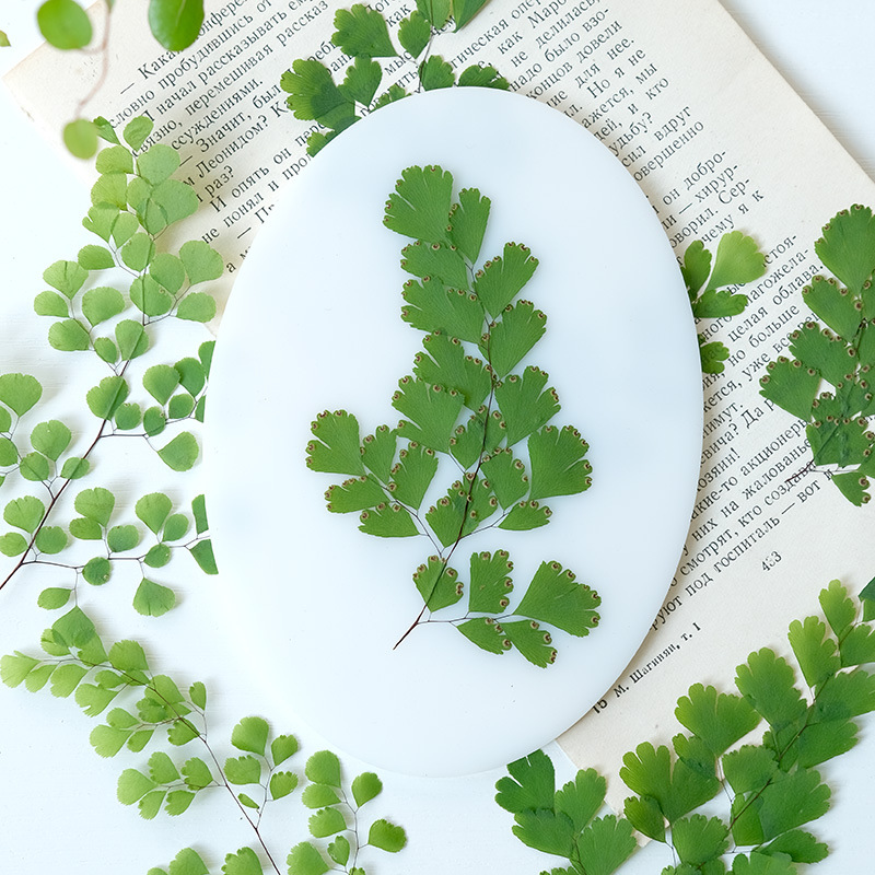 60 Adet Doğal Bitki Gerçek Çiç - Dried Flower Bookmark incelemesi ve fiyatı